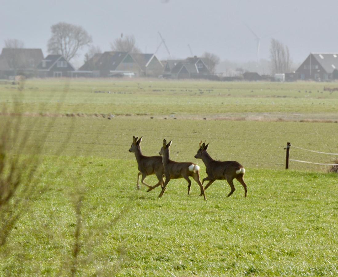 Het Melkhuis Op Prachtig Landgoed Koepeltjesplaats Gaast Exteriér fotografie
