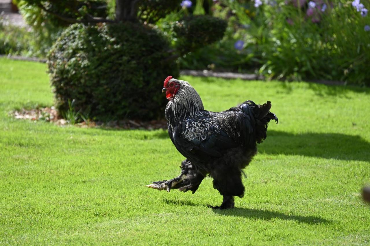 Het Melkhuis Op Prachtig Landgoed Koepeltjesplaats Gaast Exteriér fotografie