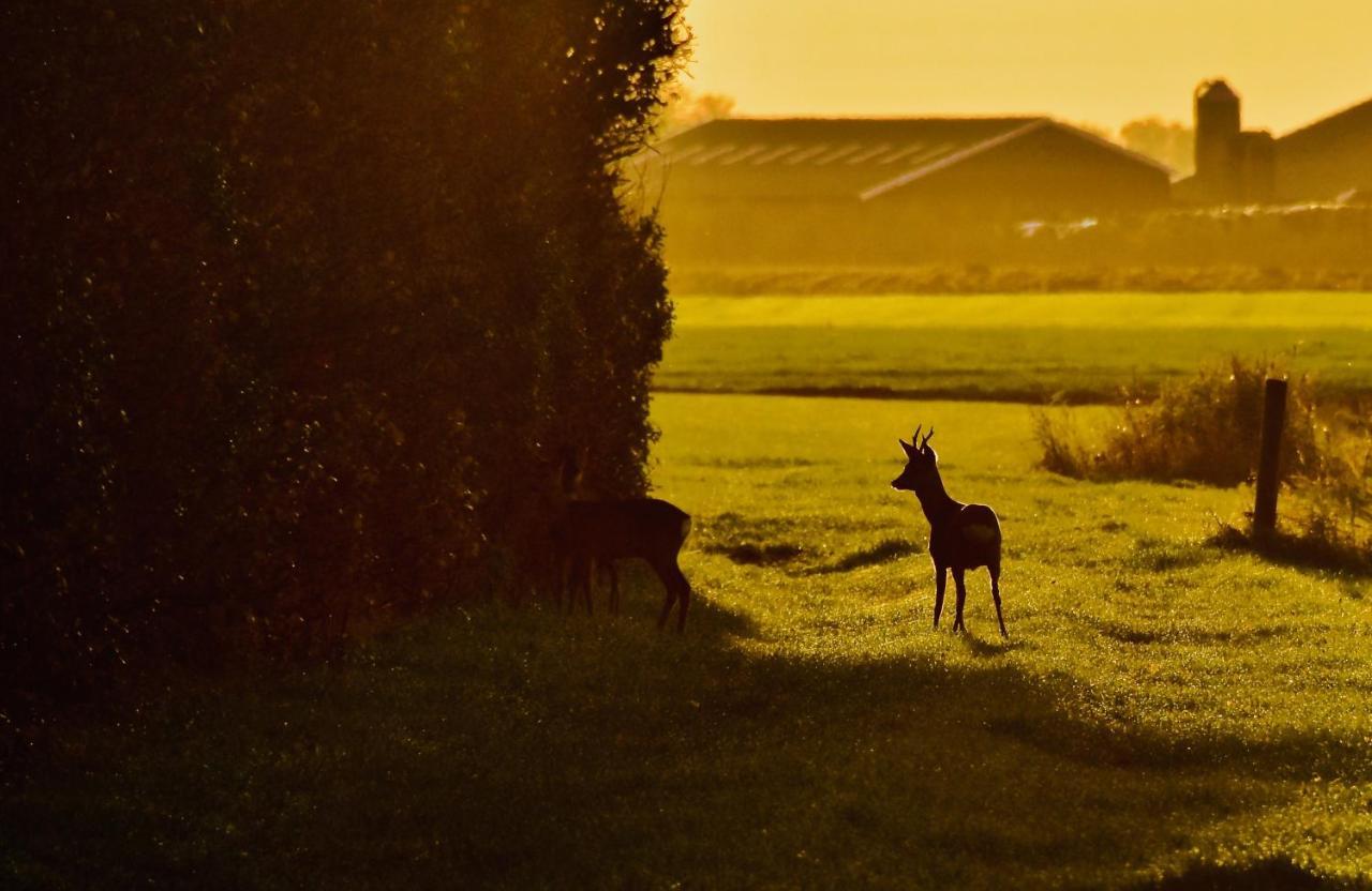 Het Melkhuis Op Prachtig Landgoed Koepeltjesplaats Gaast Exteriér fotografie