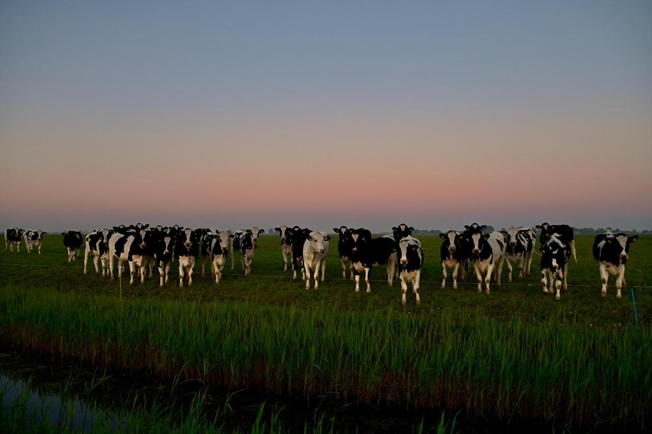 Het Melkhuis Op Prachtig Landgoed Koepeltjesplaats Gaast Exteriér fotografie