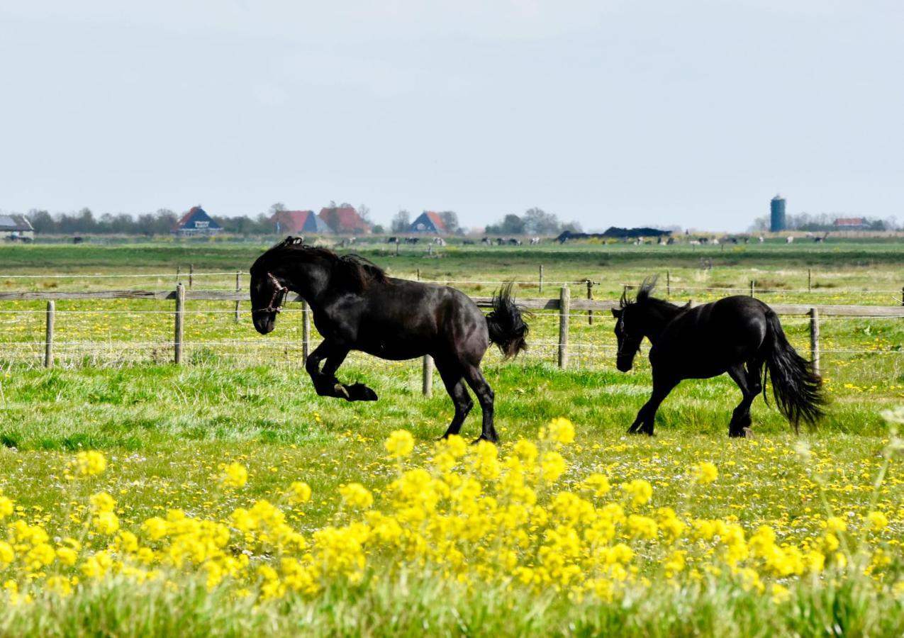 Het Melkhuis Op Prachtig Landgoed Koepeltjesplaats Gaast Exteriér fotografie
