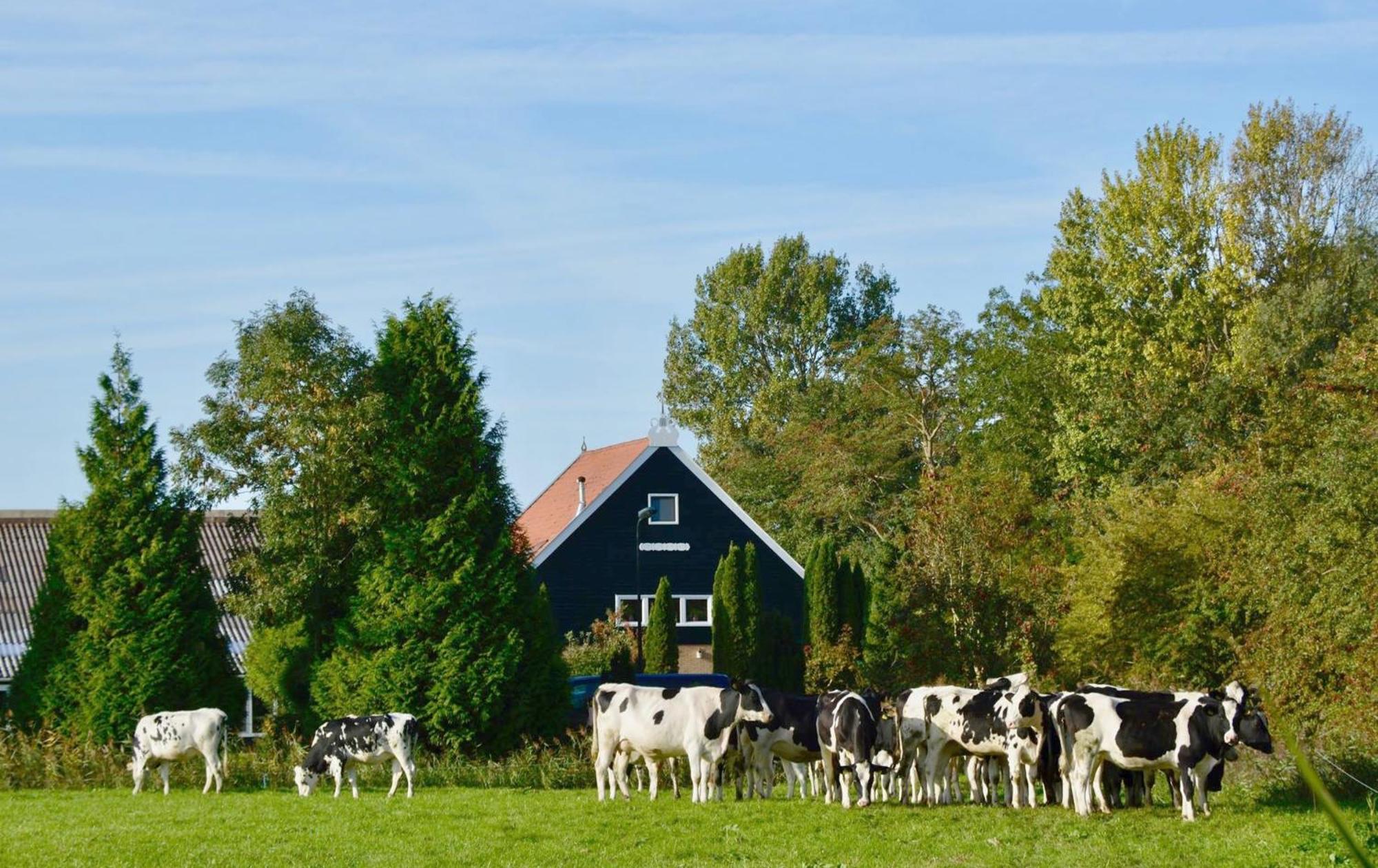 Het Melkhuis Op Prachtig Landgoed Koepeltjesplaats Gaast Exteriér fotografie
